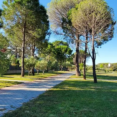Onil Beach - 146 *